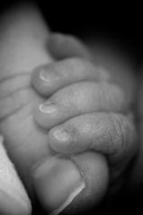 You'll be in my heart (by Morten Brekkevold)