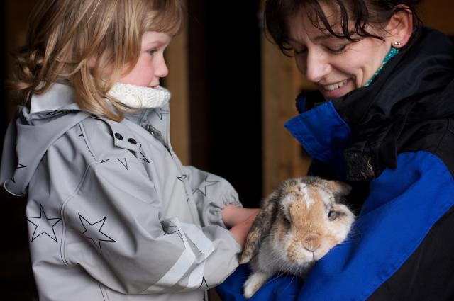 Kristin forteller om kaninen (by Morten Brekkevold) Kristin forteller om kaninen