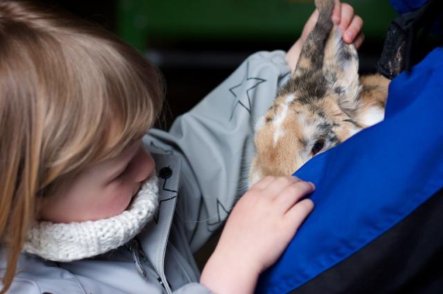 Sjekker status på øra (by Morten Brekkevold) Sjekker status på øra