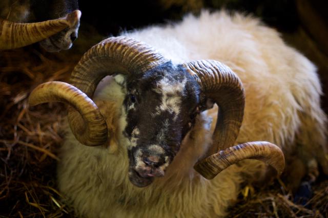 Impressive equipment (by Morten Brekkevold) Impressive equipment