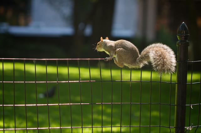 Untitled (by Morten Brekkevold)