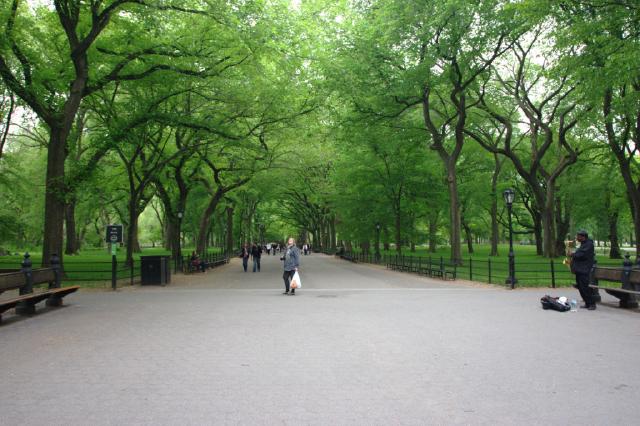 Central Park