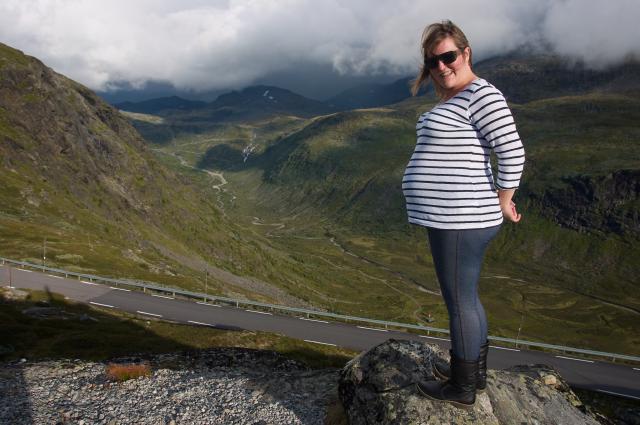 Sognefjellsvandrer (by Morten Brekkevold) Sognefjellsvandrer